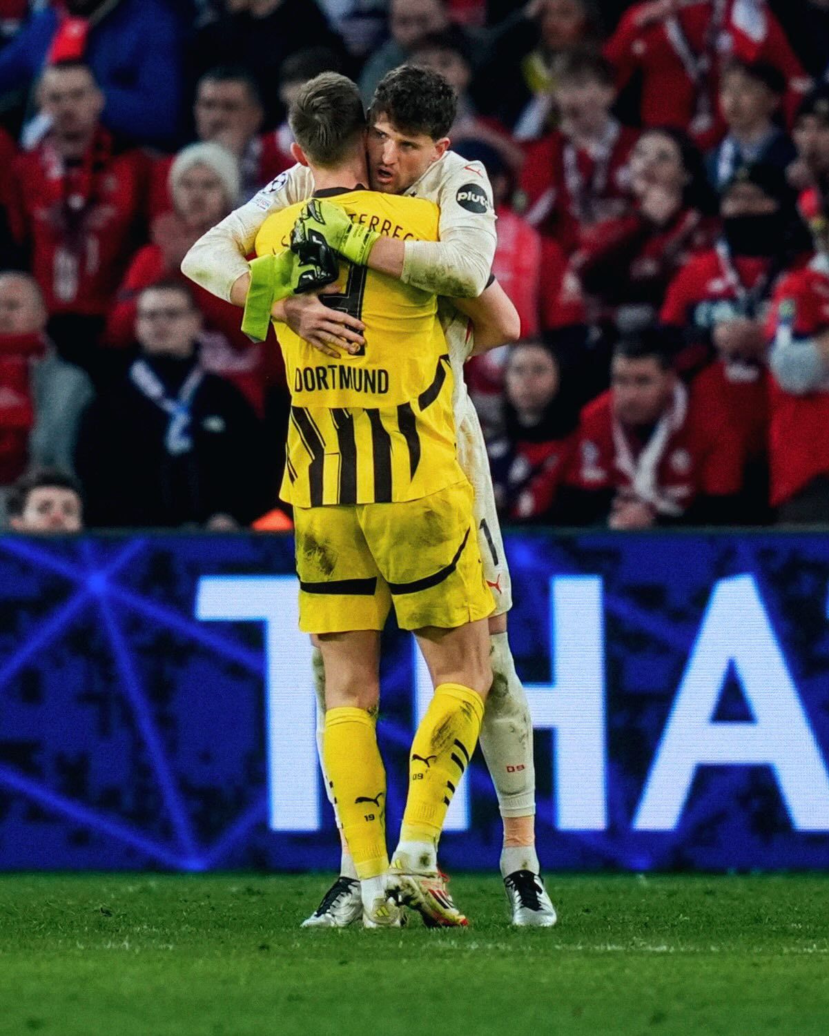 包含拉沃尔杯险胜戴维斯杯,鲁德统治全场的词条 包含拉沃尔杯险胜戴维斯杯,鲁德统治全场的词条