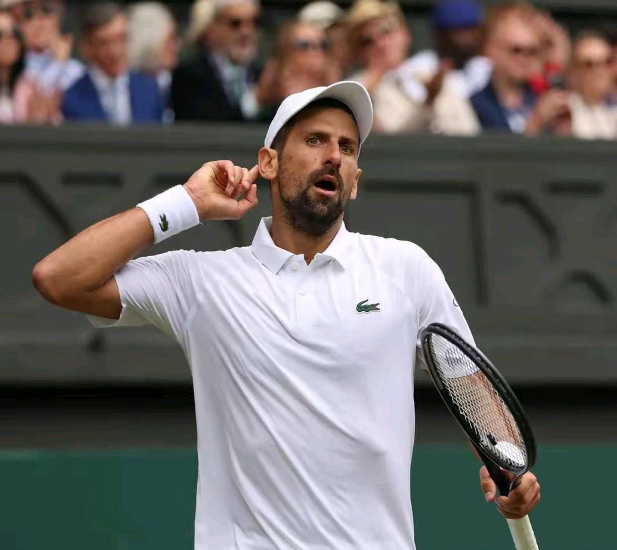 ATP总决赛翻盘法网,德约科维奇高光表现 ATP总决赛翻盘法网,德约科维奇高光表现