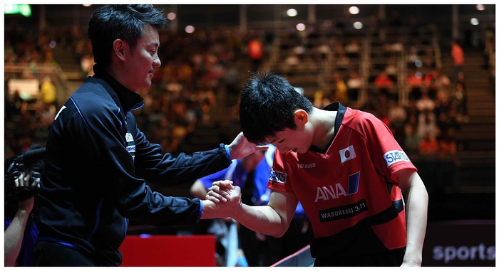 雷火电竞主播-波兰队碾压英格兰队，张本智和统治全场