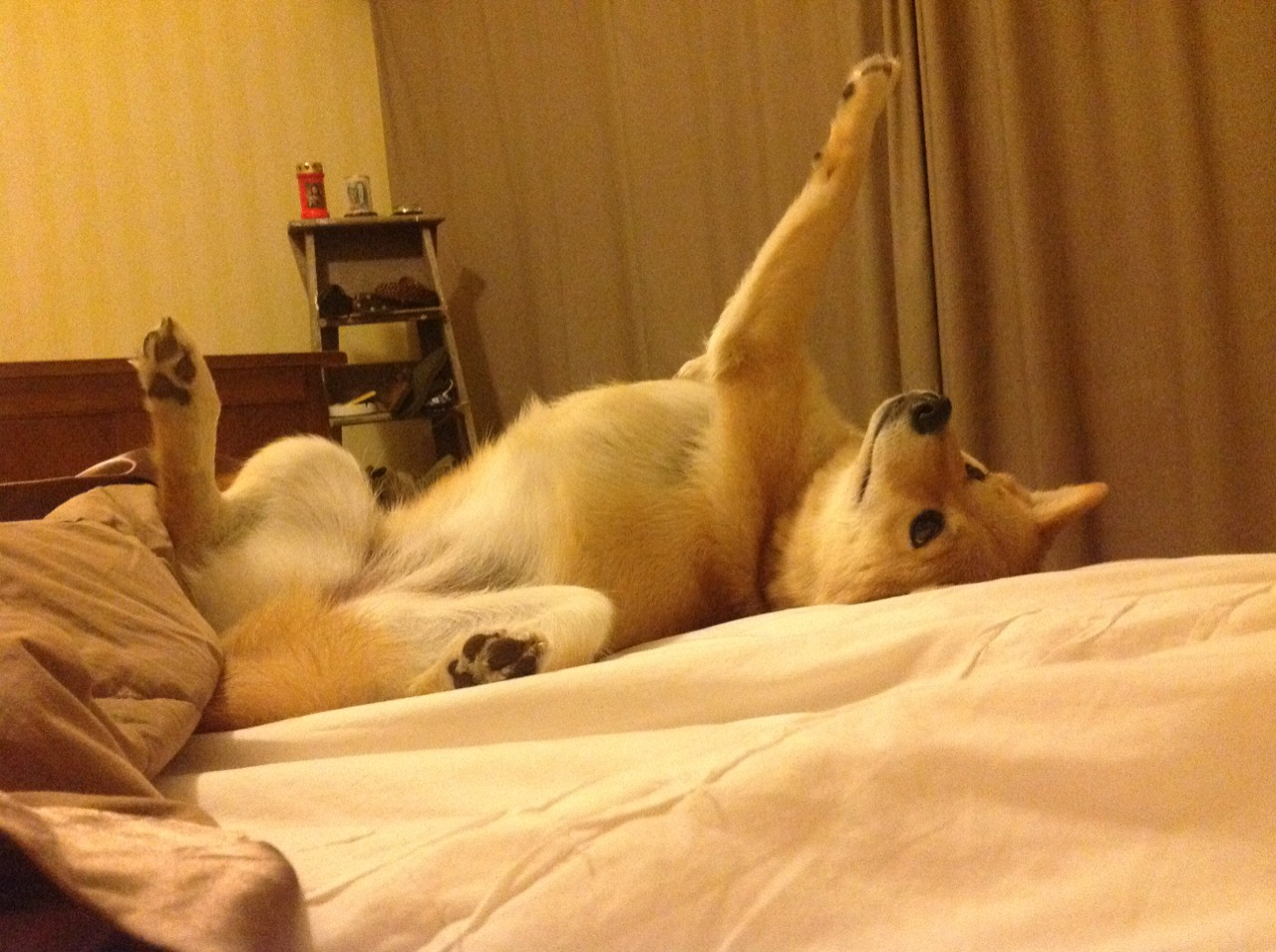 球鞋与步枪,当本泽马在北境战争的季后赛接管比赛