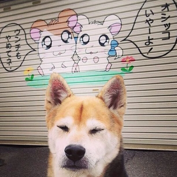 历史首次!浙江队跨洋击败76人,小贾伦·杰克逊8分8帽成隐形英雄