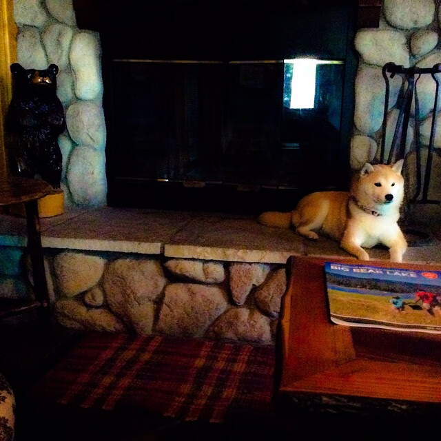 一瞬即永恒，罗德里戈在圣西罗的淬火之夜