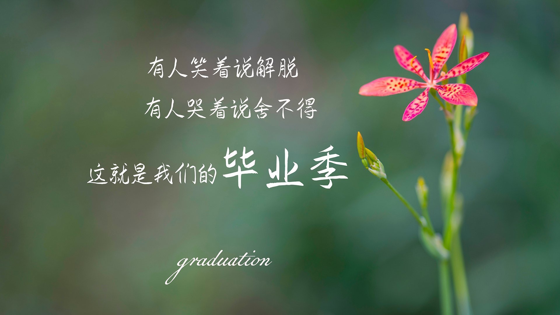 蒂亚戈进攻端如入无人之境,那不勒斯客场3-0完胜芬兰赫尔辛基