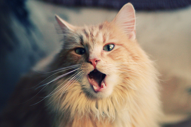 托尼的三秒导演，当德国战车提前碾碎马赛的夜晚