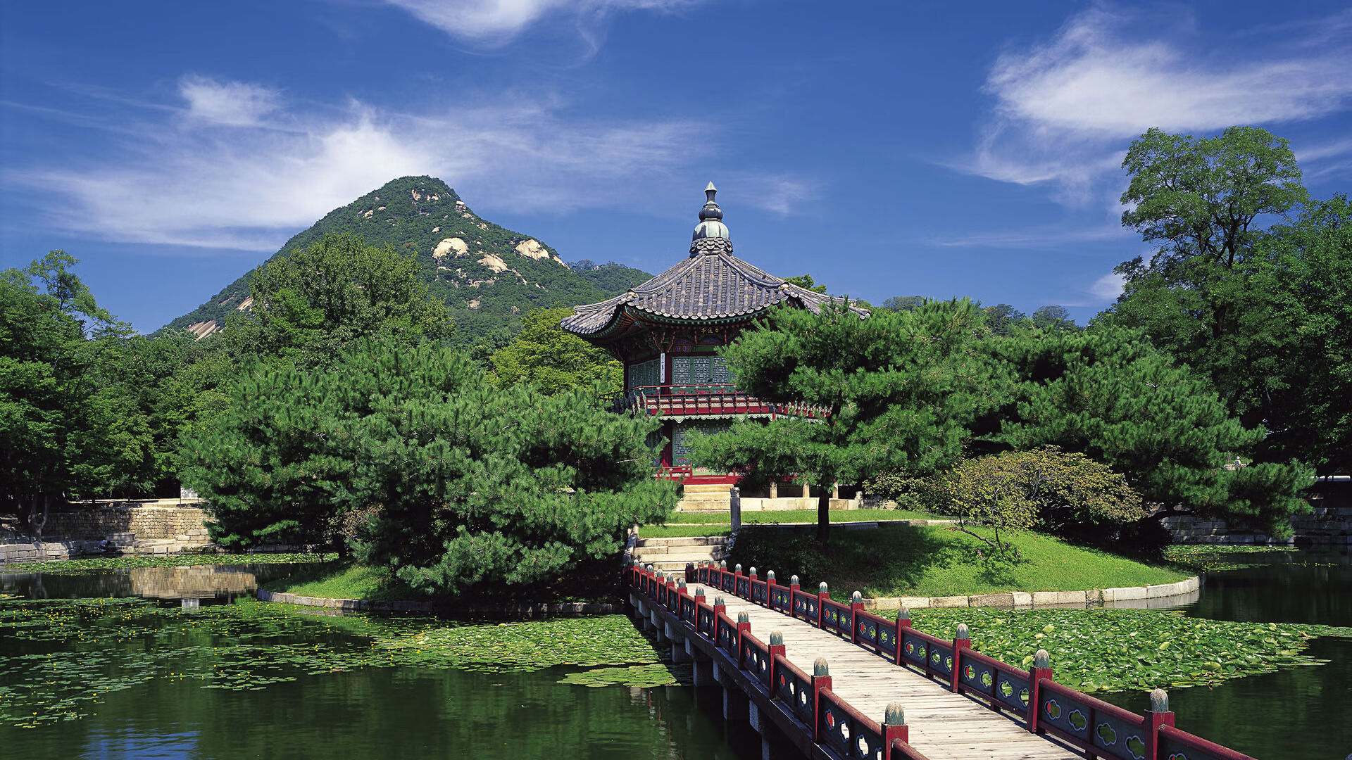 唯一性的烙印，从西决生死战到曼城硬仗取胜阿尔及利亚的焦点启示