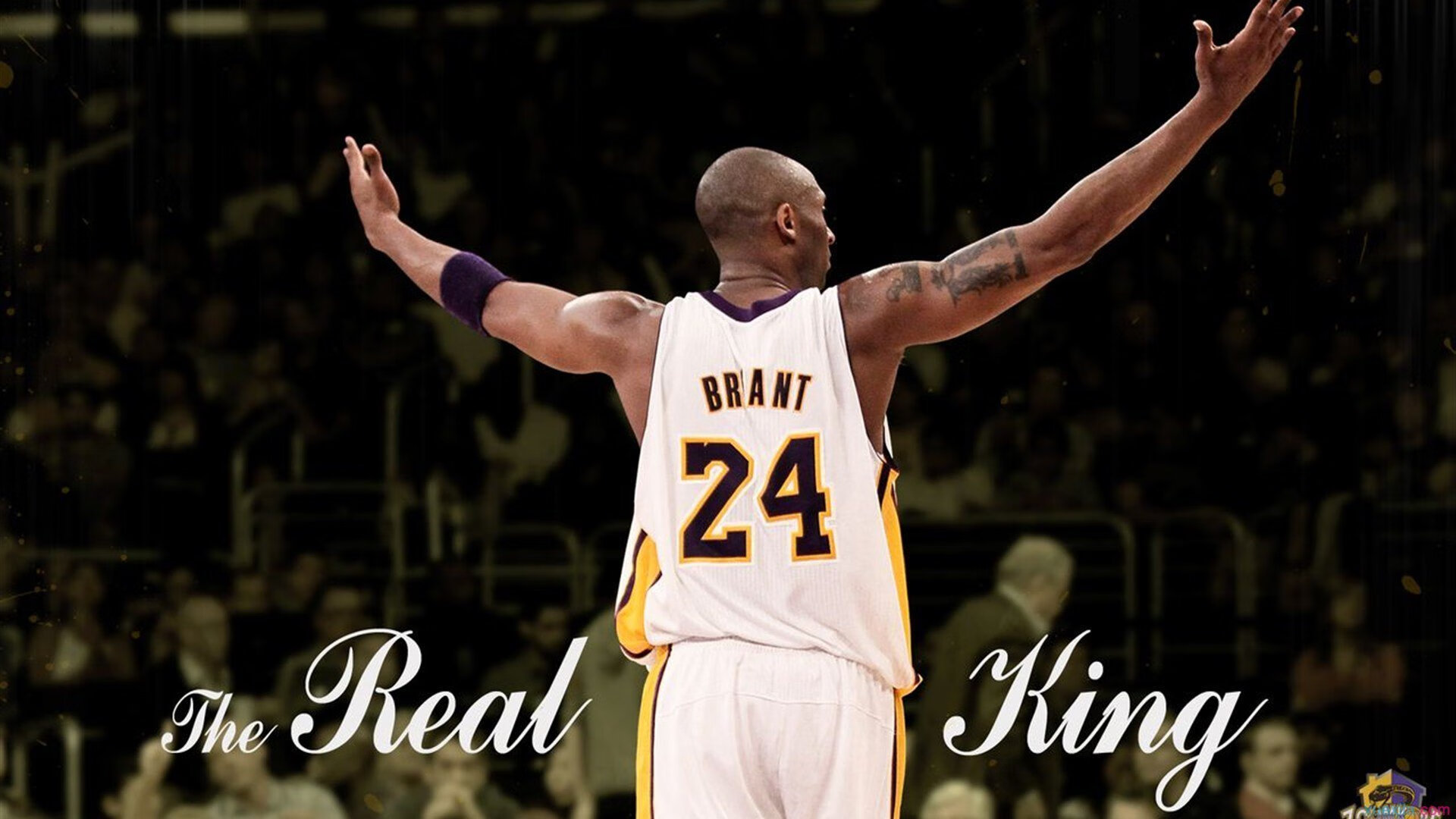 冷面刺客刺穿红色城堡，阿尔瓦雷斯在梦剧场用实力打破所有质疑