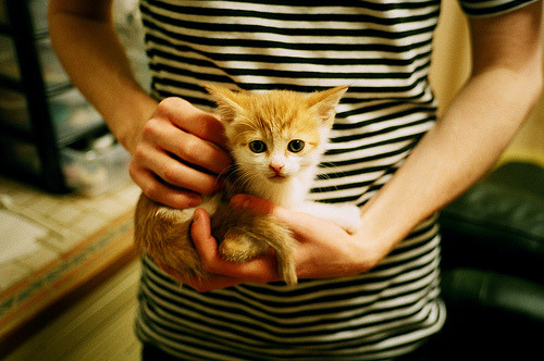 孤胆英雄撕裂团队篮球，德罗赞全场47分背后，隐藏着什么篮球哲学？