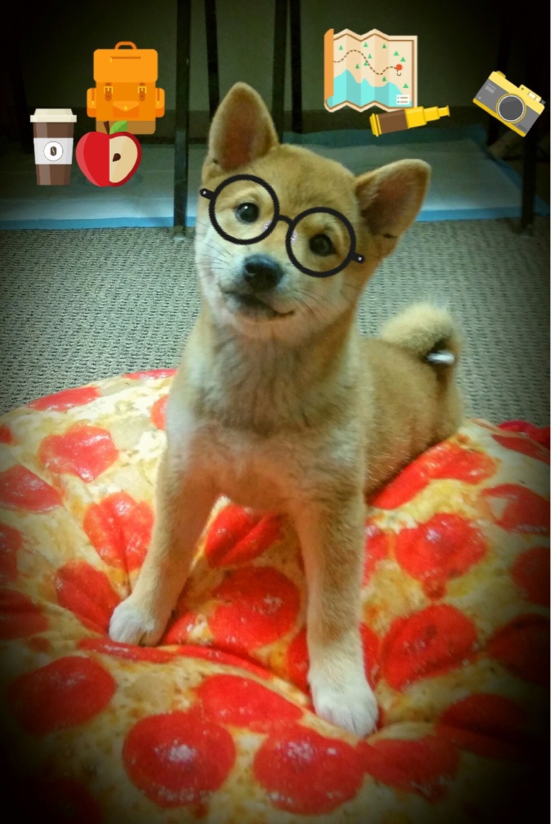 天花板与地板之间，当文班亚马的个人光辉照亮雷霆的团队胜利