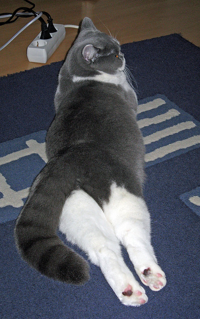 窒息东决夜，三双锁定胜局，西亚卡姆第10次里程碑如何重塑系列赛？